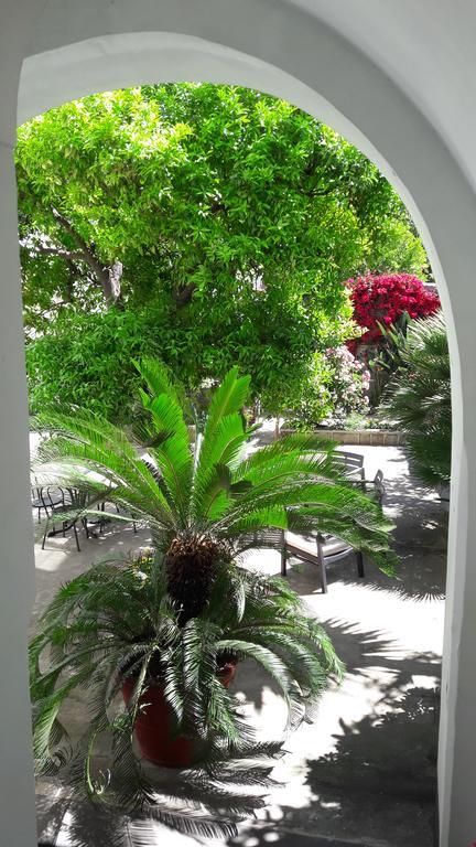 Back To Sorrento Bed & Breakfast Sant'Agnello Exterior photo